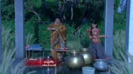 Koilamma S06E238 Kathyayini Tends to Chinni Full Episode