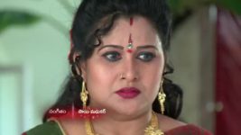 Koilamma S06E239 Chinni Gets Disheartened Full Episode