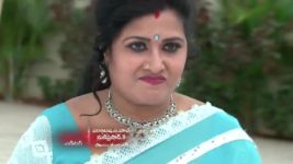 Koilamma S06E254 Jagadamba's Struggles at the Fest Full Episode