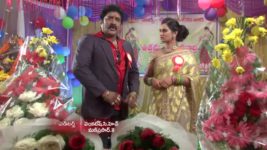 Koilamma S06E268 Indraja Receives an Award Full Episode