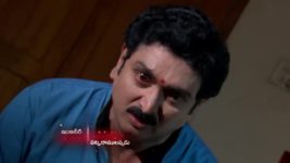 Koilamma S06E282 Lakshmi Confronts Indraja Full Episode