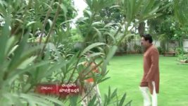 Koilamma S06E293 Lakshmi's Shocker to Indraja Full Episode