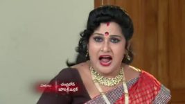 Koilamma S06E302 Ashok to Be Blamed Full Episode