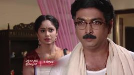 Koilamma S06E324 Sindhu Invites Problems Full Episode