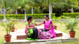 Koilamma S06E327 Ashok Feels Deceived Full Episode