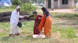 Koilamma S06E393 Ashok Finds a Letter Full Episode