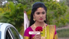 Koilamma S06E452 What Is Kokila Up to? Full Episode