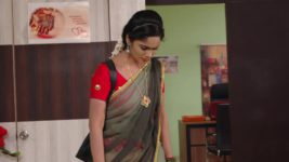 Koilamma S06E459 Kokila Learns a Shocking Truth Full Episode