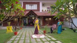 Koilamma S06E555 Sameer Loathes Kokila Full Episode