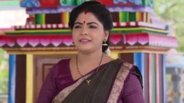 Koilamma S06E559 Sameer Makes a Request Full Episode