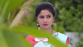 Koilamma S06E583 Amar Comforts Kokila Full Episode