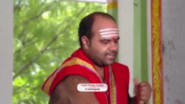 Koilamma S06E595 Ramesh Chandra Agrees with Kokila Full Episode