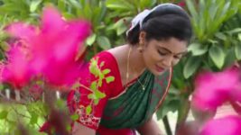 Koilamma S06E684 Manorama Misleads Sindhu Full Episode