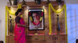 Koilamma S06E688 Amar Ignores Kokila Full Episode