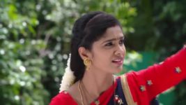 Koilamma S06E689 Amar's Family Gets Shocked Full Episode