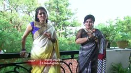 Koilamma S06E80 Everyone Lashes at Chinni Full Episode