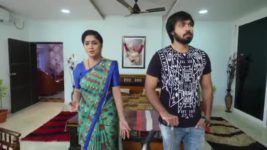 Koilamma S06E814 Amar's Firm Decision Full Episode