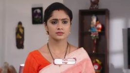 Koilamma S06E834 Kokila Gets Overwhelmed Full Episode