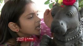 Koilamma S06E91 Will Chinni's Wish Come True? Full Episode