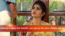 Mayar Badhon S07E156 Aryan Returns Home Full Episode