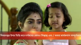 Mayar Badhon S07E157 Raghu Makes Up His Mind Full Episode