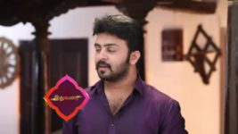 Pandian Stores S01E175 Meena Is Excited Full Episode