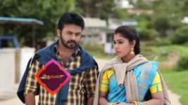 Pandian Stores S01E182 Mulla, Kathir's Petty Fight Full Episode