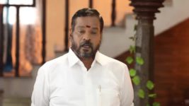 Pandian Stores S01E336 Janardhan Insults Moorthy, Dhanam Full Episode