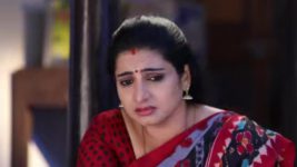 Pandian Stores S01E380 Kannan's Request to Dhanam Full Episode