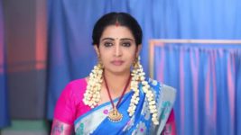 Pandian Stores S01E425 Jeeva Worries for Meena Full Episode