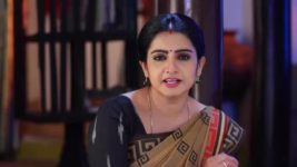 Pandian Stores S01E470 Mulla Feels Elated Full Episode