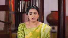 Pandian Stores S01E476 Moorthy Yells at Kathir Full Episode