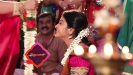 Pandian Stores S01E52 Meena Phones Jeeva Full Episode