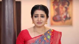 Pandian Stores S01E678 Meena Meets Kannan Full Episode