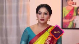 Pandian Stores S01E903 Moorthy Meets Radhika Full Episode