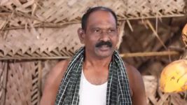 Pandian Stores S01E957 Dhanam Feels Troubled Full Episode