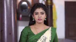 Pandian Stores S01E995 Meena Confronts Dhanam Full Episode