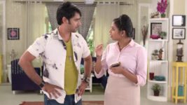 Pratidaan S04E254 Shimul's Clever Plan Full Episode