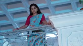 Yeda Loyallo Indradhanasu S01 E171 Dhanush's Plot for Amulya