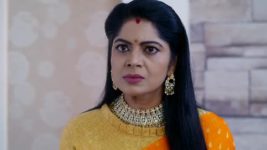 Yeda Loyallo Indradhanasu S01 E185 Amulya's Advice to Shashikanth