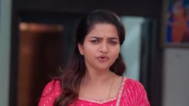 Anna (Tamil) S01 E203 30th December 2023