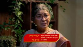 Gunde Ninda Gudi Gantalu S01 E63 Parvathi, Satyam are Optimistic