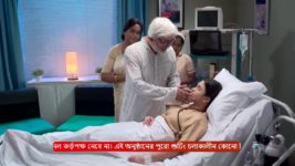 Icche Putul S01 E259 31st December 2023