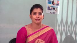 Kalyanamasthu S01 E576 4th December 2023