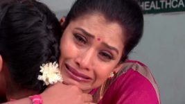 Kalyanamasthu S01 E577 5th December 2023