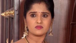 Kalyanamasthu S01 E596 1st January 2024