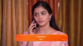 Karthigai Deepam S01 E343 1st January 2024