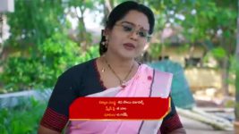 Maamagaru (Star Maa) S01 E84 Varsha, Venkatrao Are Optimistic