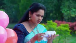 Maamagaru (Star Maa) S01 E88 Gangadhar Is Unsuccessful