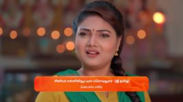 Nala Damayanthi S01 E66 23rd December 2023